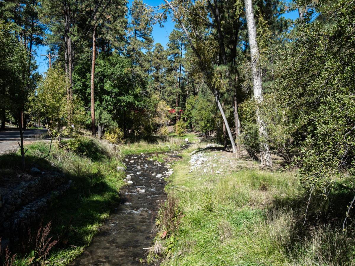 Sleeping Bear, 2 Bedrooms, Front Deck, Midtown, Sleeps 6 Ruidoso Exteriér fotografie