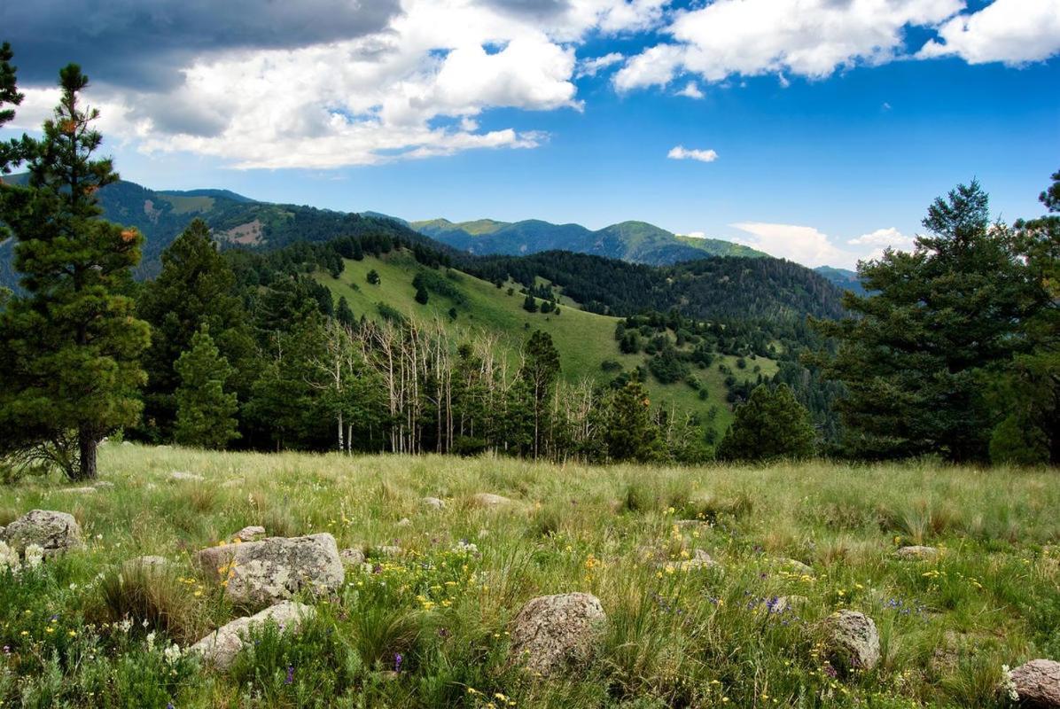 Sleeping Bear, 2 Bedrooms, Front Deck, Midtown, Sleeps 6 Ruidoso Exteriér fotografie